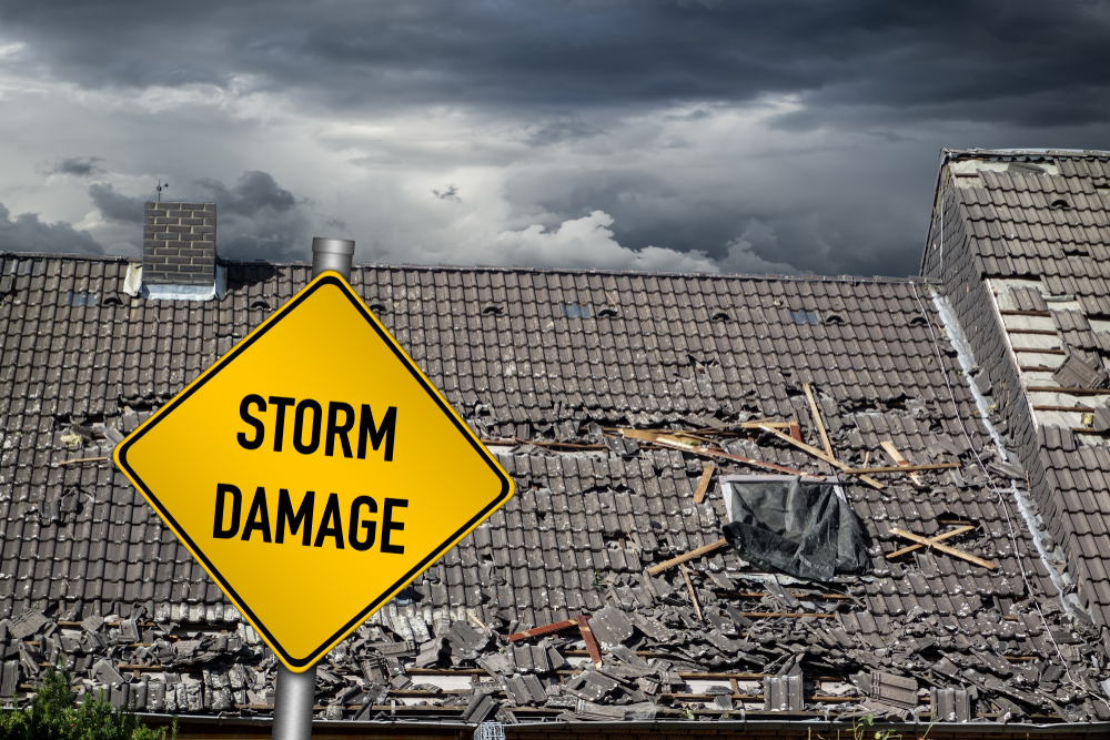 Battling the Elements: A Homeowner’s Guide to Storm Damage Restoration